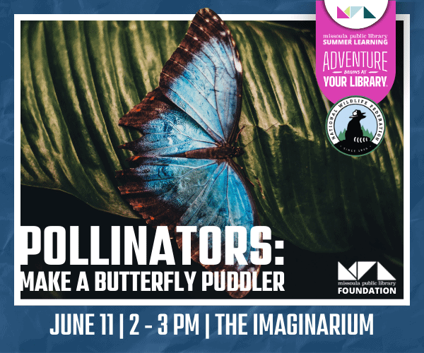 Pollinator's Make a Butterfly Puddler