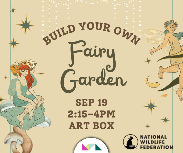 Build your own fairy garden