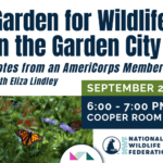 Garden for Wildlife in the Garden City