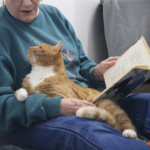 The Bookmobile at Animeals