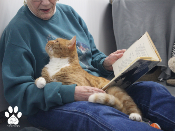 The Bookmobile at Animeals